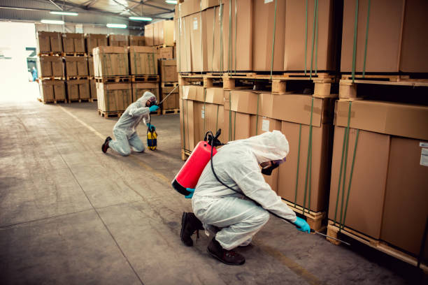 Best Emergency Pest Control  in Trezevant, TN