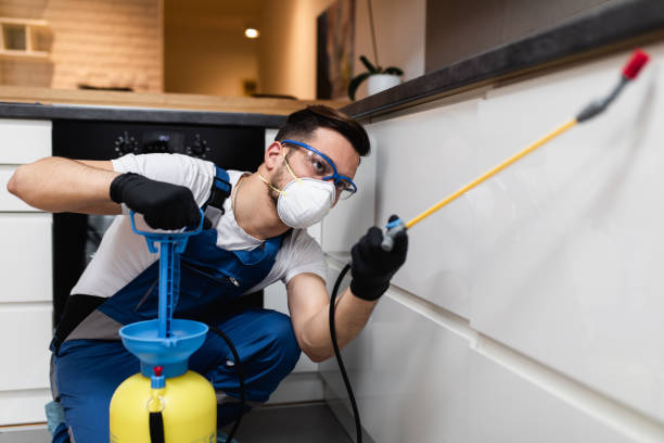 Best Wasp Removal Services  in Trezevant, TN