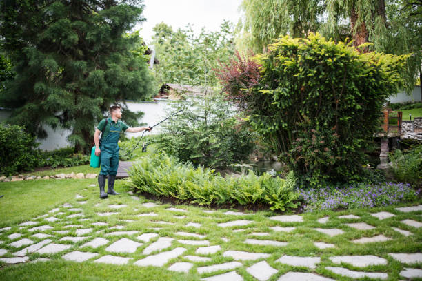 Best Pest Inspection Near Me  in Trezevant, TN