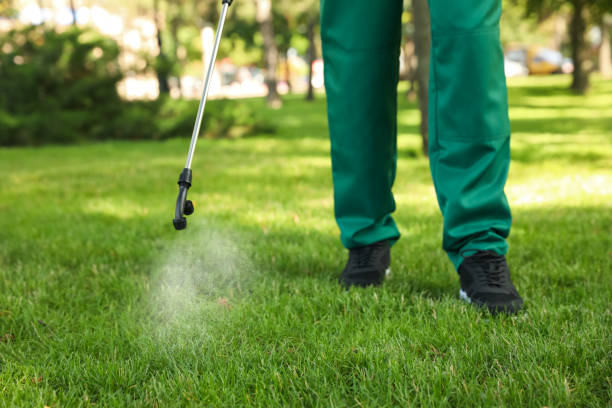 Best Insect Control  in Trezevant, TN