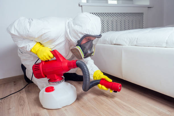 Best Mosquito Control Services  in Trezevant, TN