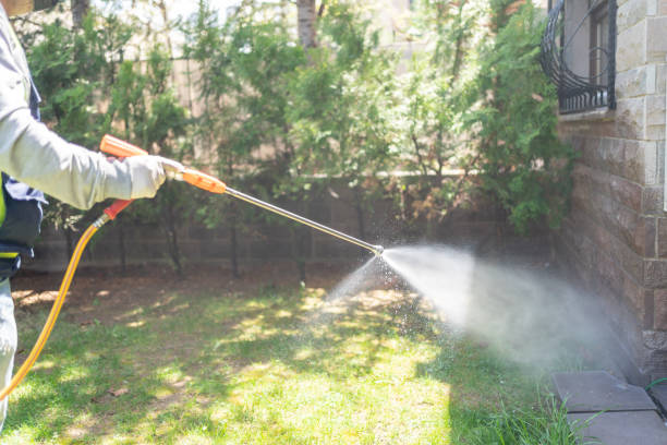 Best Flea Control Services  in Trezevant, TN