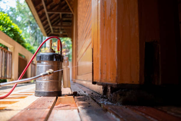 Best Exterminator Services  in Trezevant, TN
