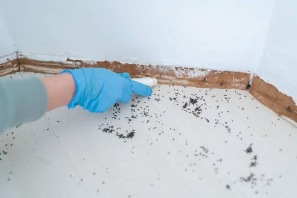 Best Commercial Pest Control Services  in Trezevant, TN
