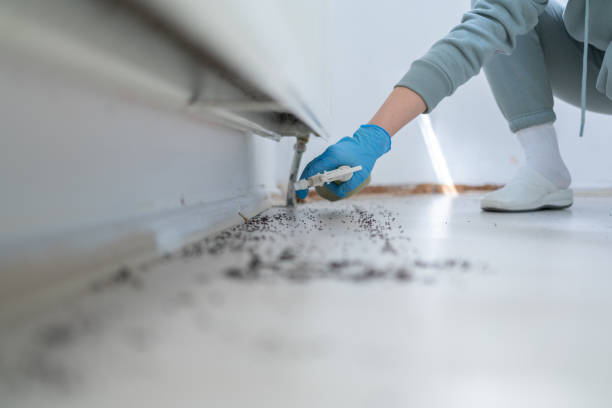 Best Affordable Pest Control Services  in Trezevant, TN